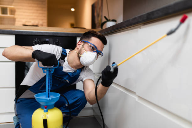 Best Pest Removal Services  in Marysville, OH
