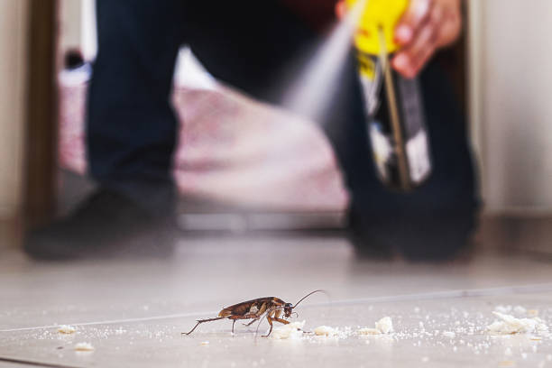 Best Local Pest Control Services  in Marysville, OH