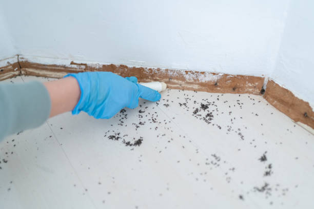 Best Exterminator Services  in Marysville, OH