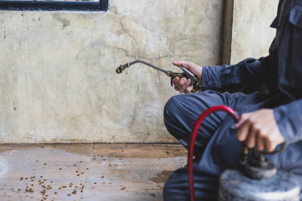 Best Termite Control Services  in Marysville, OH