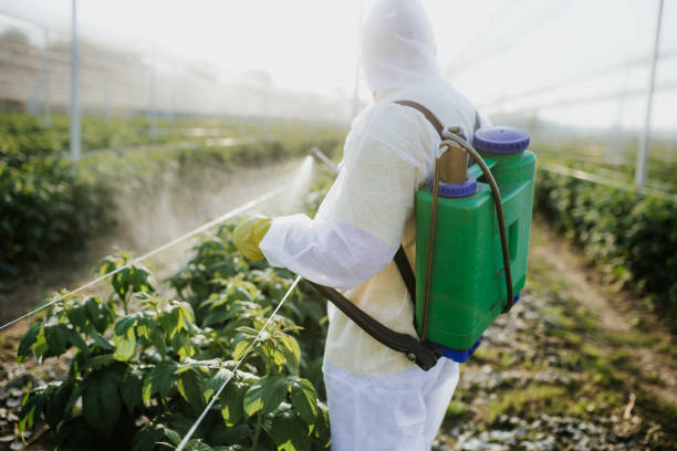 Best Emergency Pest Control  in Marysville, OH